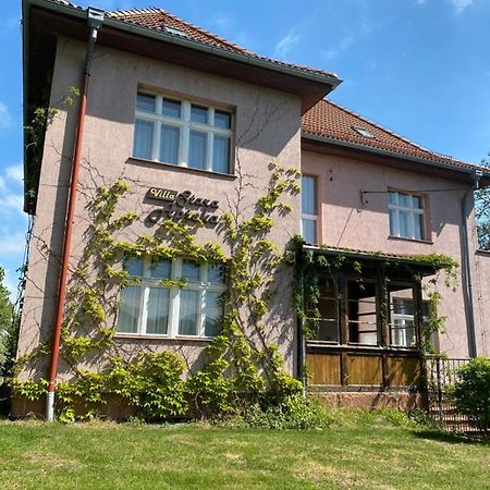 Villa Stara Apteka Srebrna Góra Exteriér fotografie