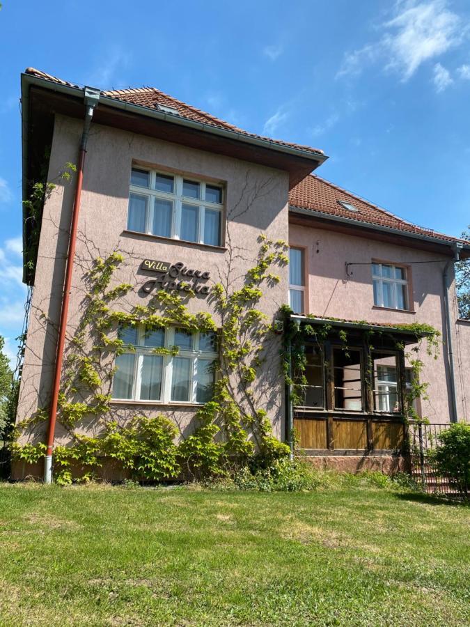 Villa Stara Apteka Srebrna Góra Exteriér fotografie